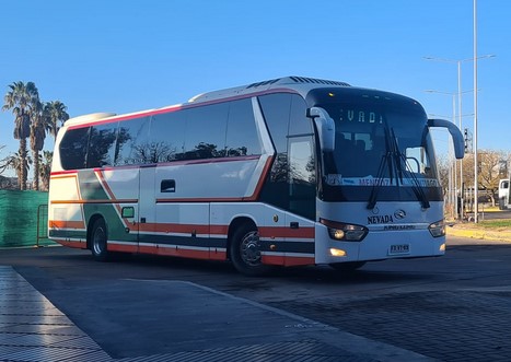 buses nevada internacional