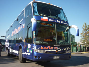 BUSES-ANDIMAR