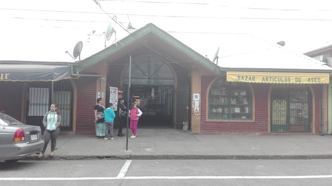 terminal buses san carlos