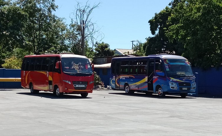 terminal buses Coelemu