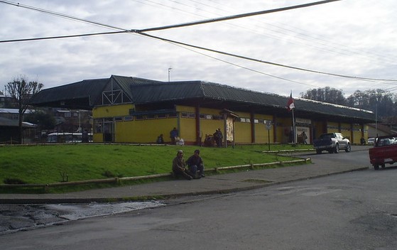 terminal de panguipulli