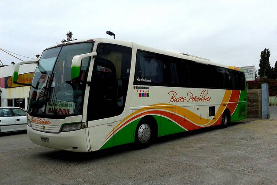 Buses Peñablanca