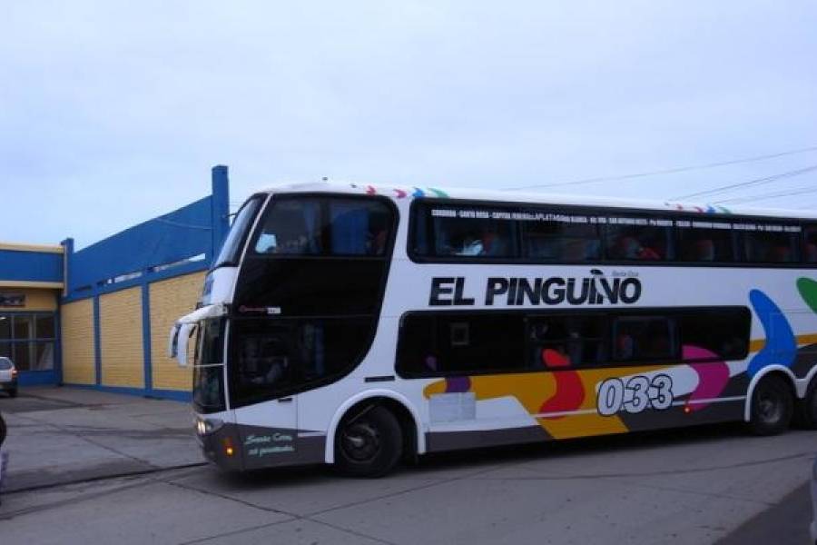 Buses el Pingüino