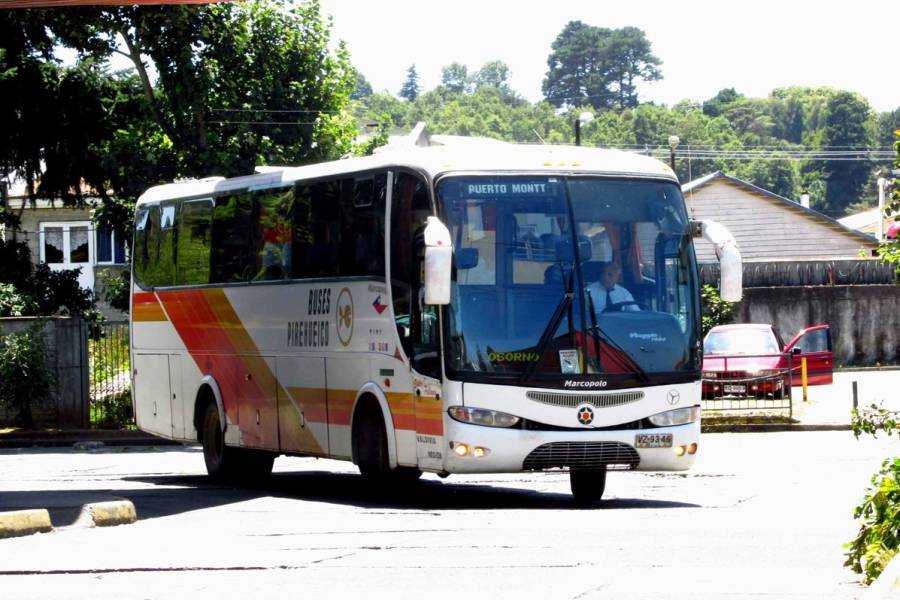 Buses Pirehueico