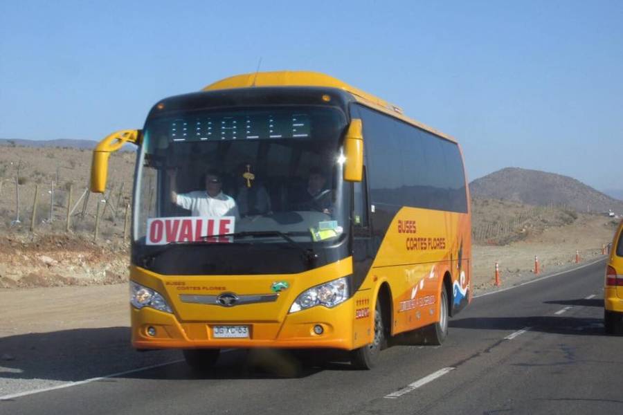 Buses Cortes Flores