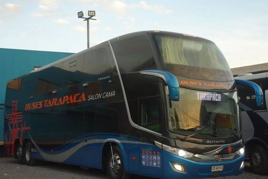 Buses Tarapacá