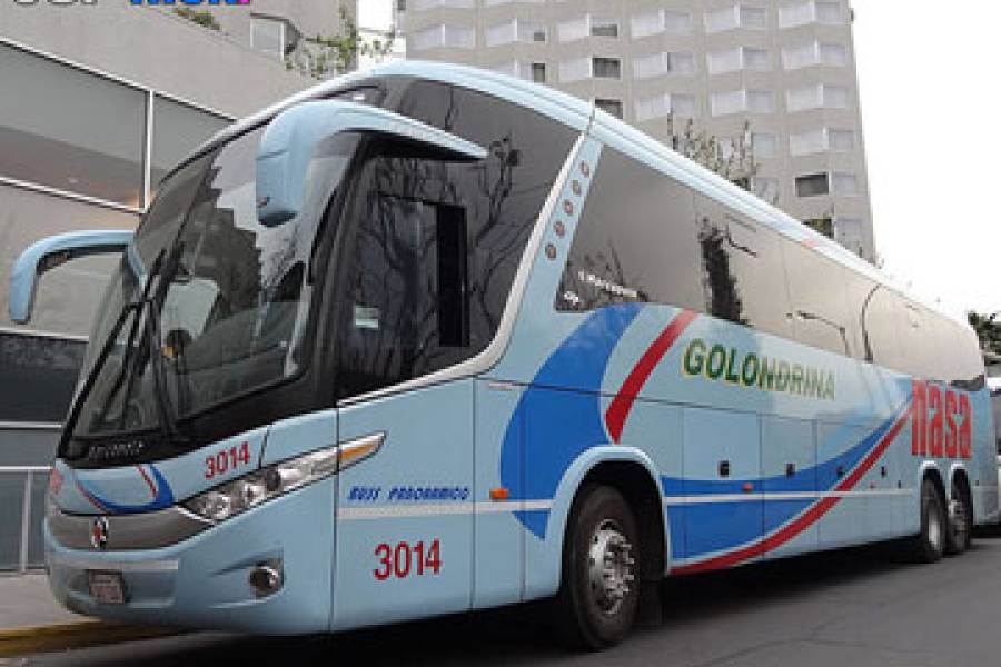 Buses Golondrina