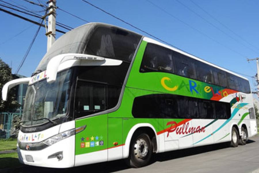 Buses Pullman Carmelita