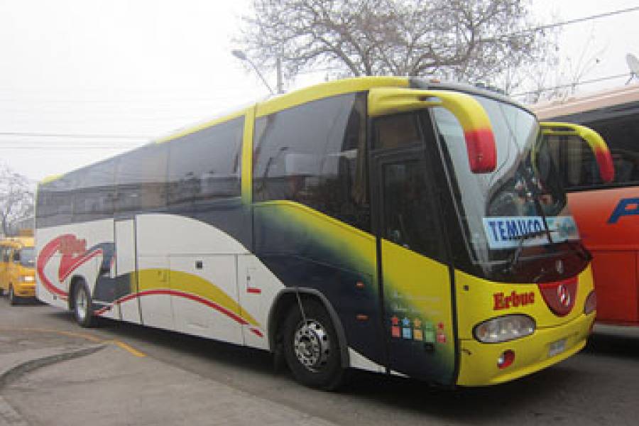 Buses Erbuc