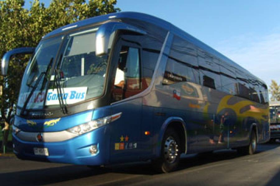 Buses García