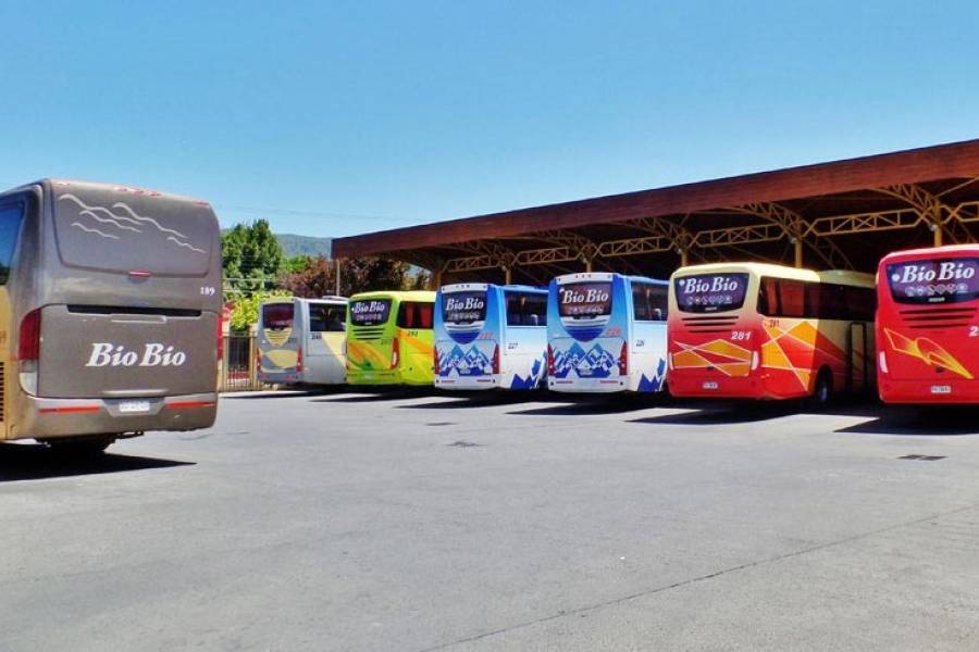 Terminal de buses de Angol