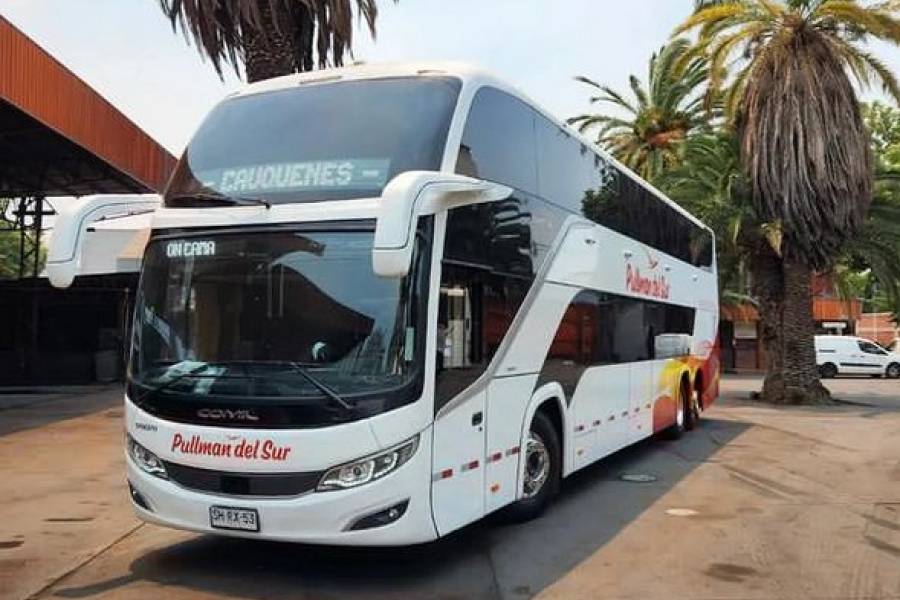 Buses Pullman Sur